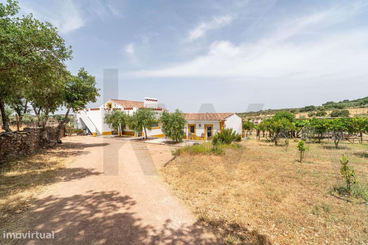 Quinta no Alentejo  -  Oportunidade de Investimento - Grande imagem: 4/38