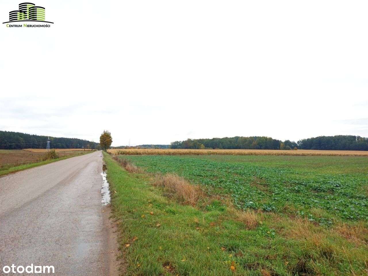 Działka 2960 m², Szerenosy, 20 km od Białegostoku - Pełny obrazek: 4/7