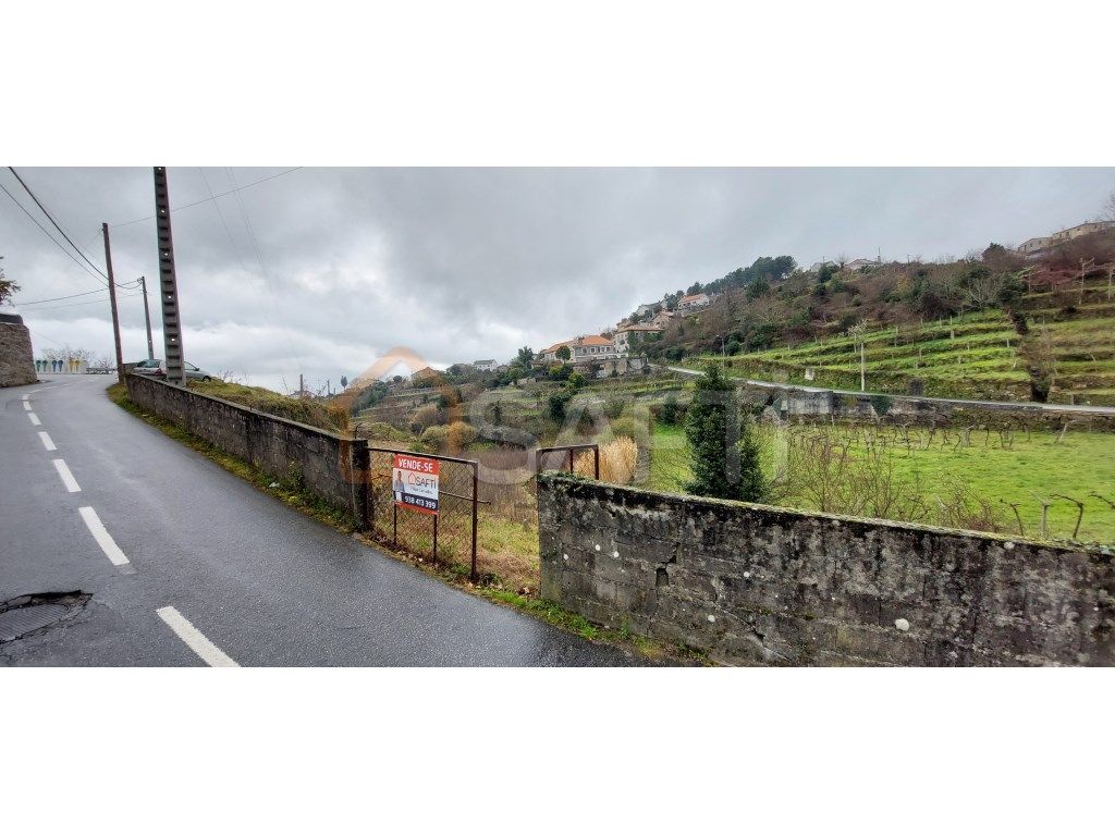 Terreno de cultivo de vinha