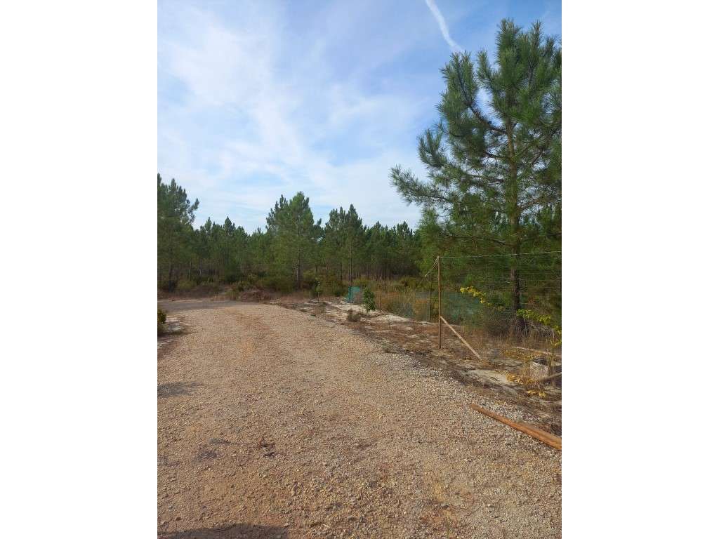 Terreno - Freguesia da Comporta-2