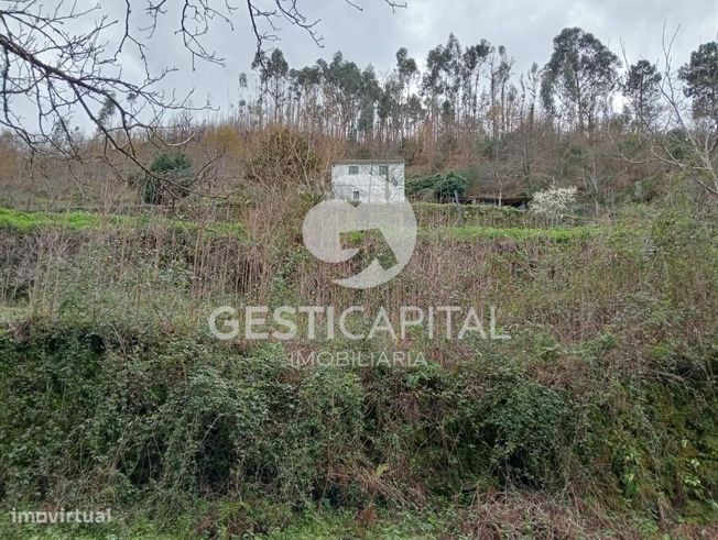 Oportunidade Única: Quinta para Habitação, Turismo ou Agricultura em M-32