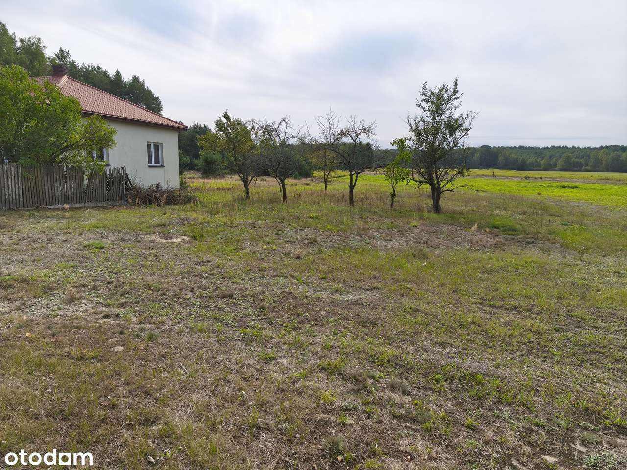 Działka budowlana w Ostrówku gm.Dąbrówka-1