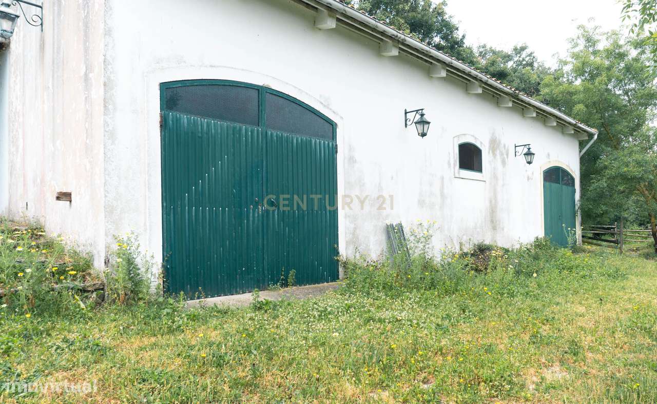 Quintinha em Alenquer com Excelente Potencial – 5,8 Hectares-17