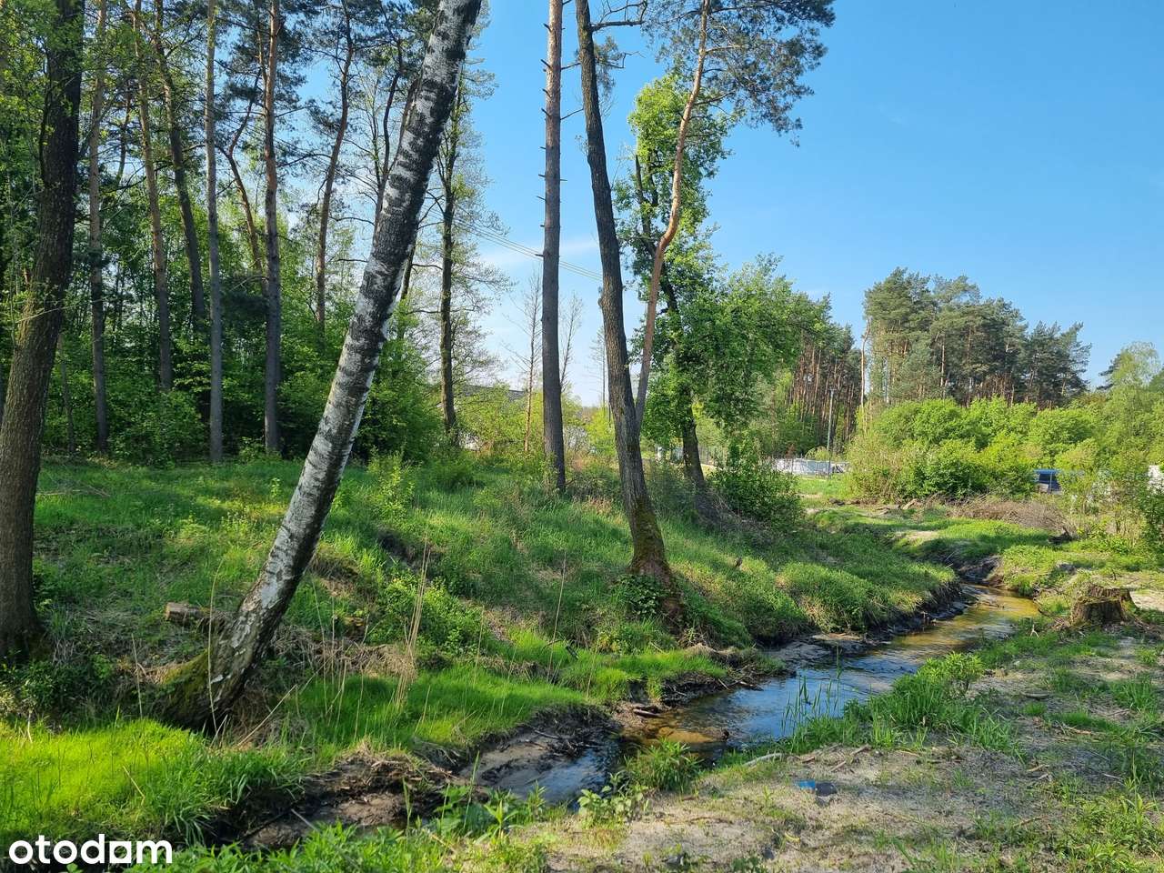 Ciekawa nieruchomość z możliwością podziału