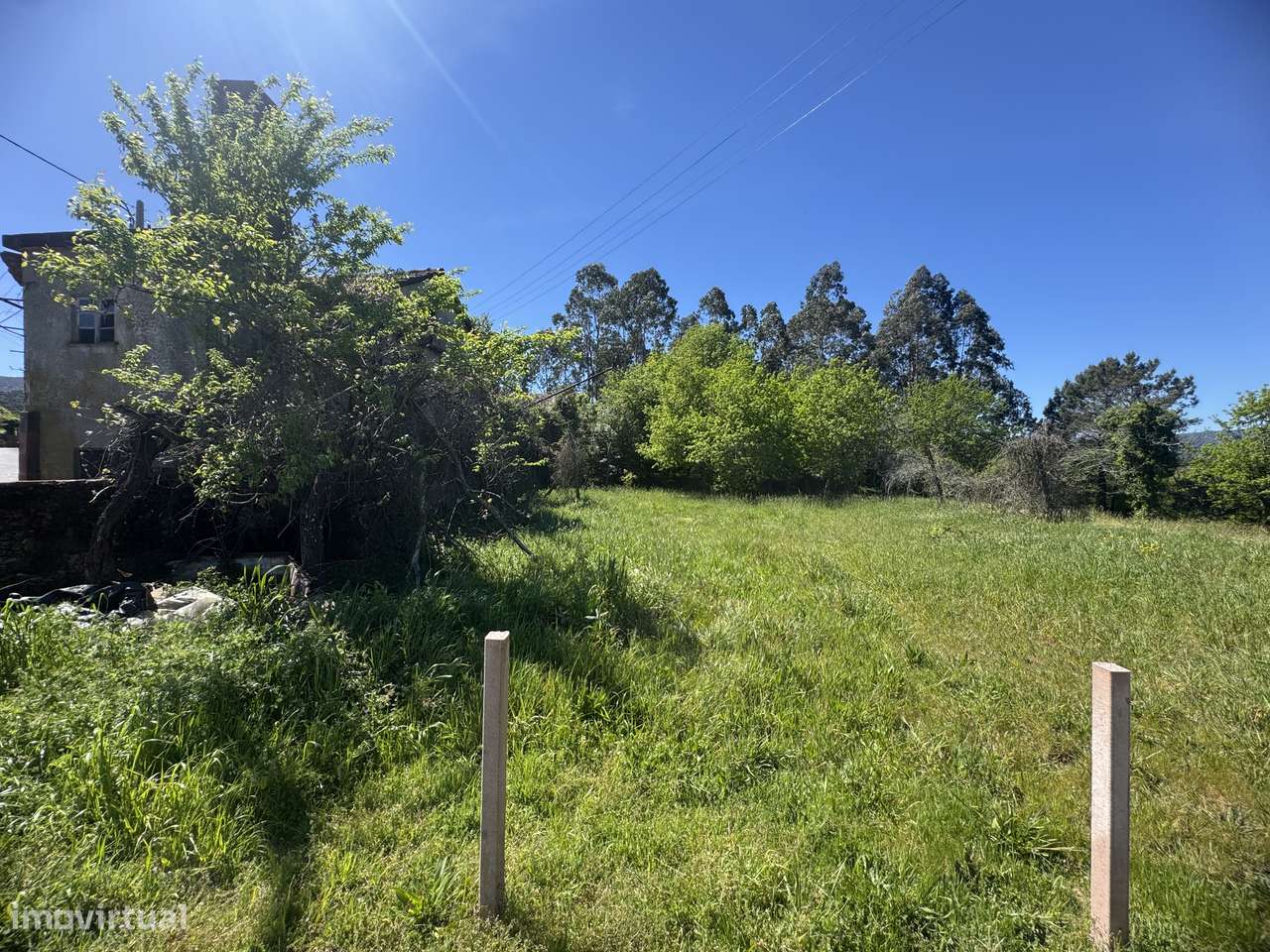 Quintinha – Oliveira de Frades-7