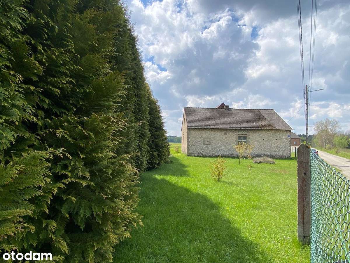 Dom 5 pokoi, działka 2,5ha, garaż na 3 samochody-8