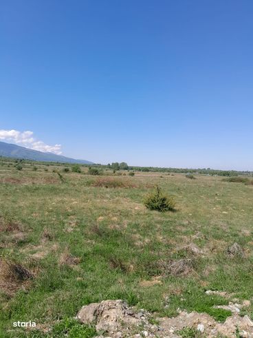 Vand teren extravilan in Berivoi, jud.Brasov-5