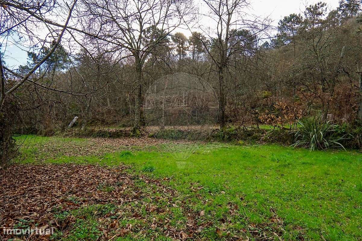 Terreno  para venda - Grande imagem: 4/12