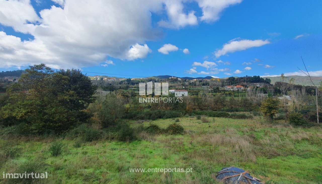 Venda Excelente Terreno, Campelo, Baião - Grande imagem: 4/30