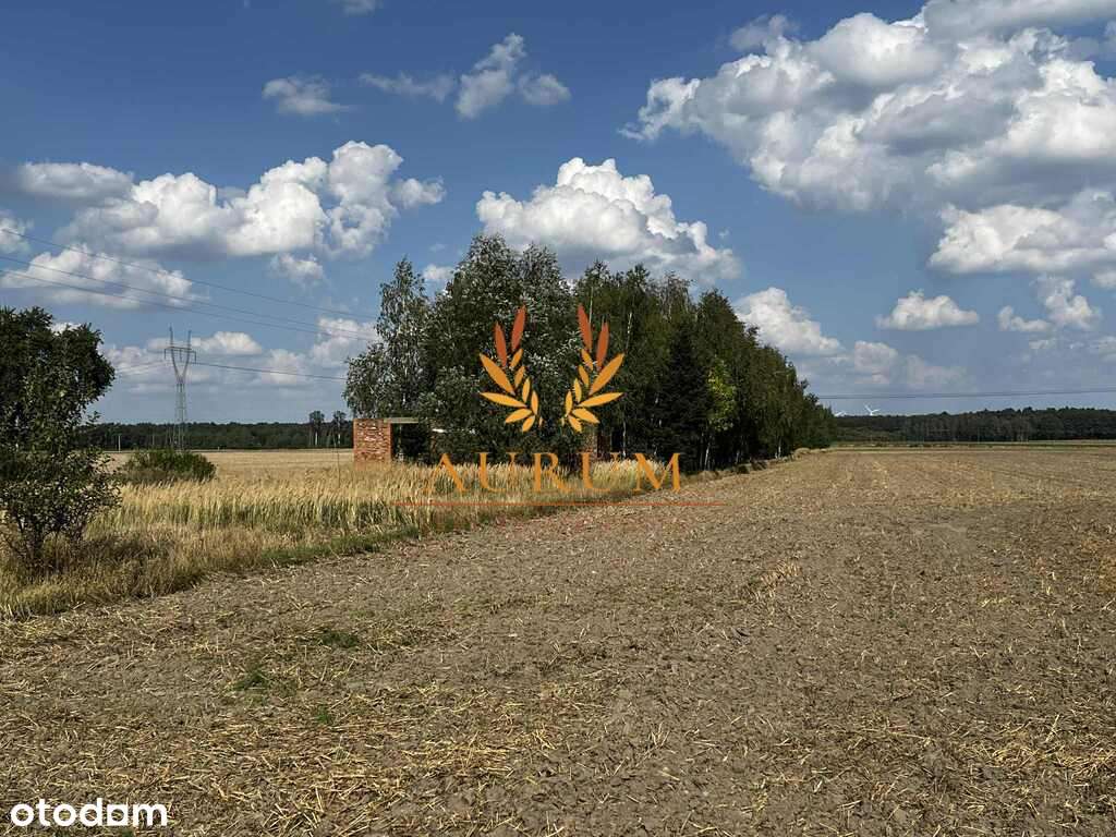 Działka rolno-budowlana z MPZP Karlin, Moszczenica - Pełny obrazek: 5/5