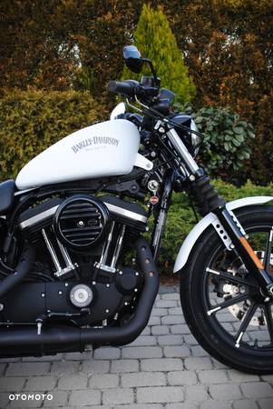 Harley-Davidson Sportster Iron 883 - 5