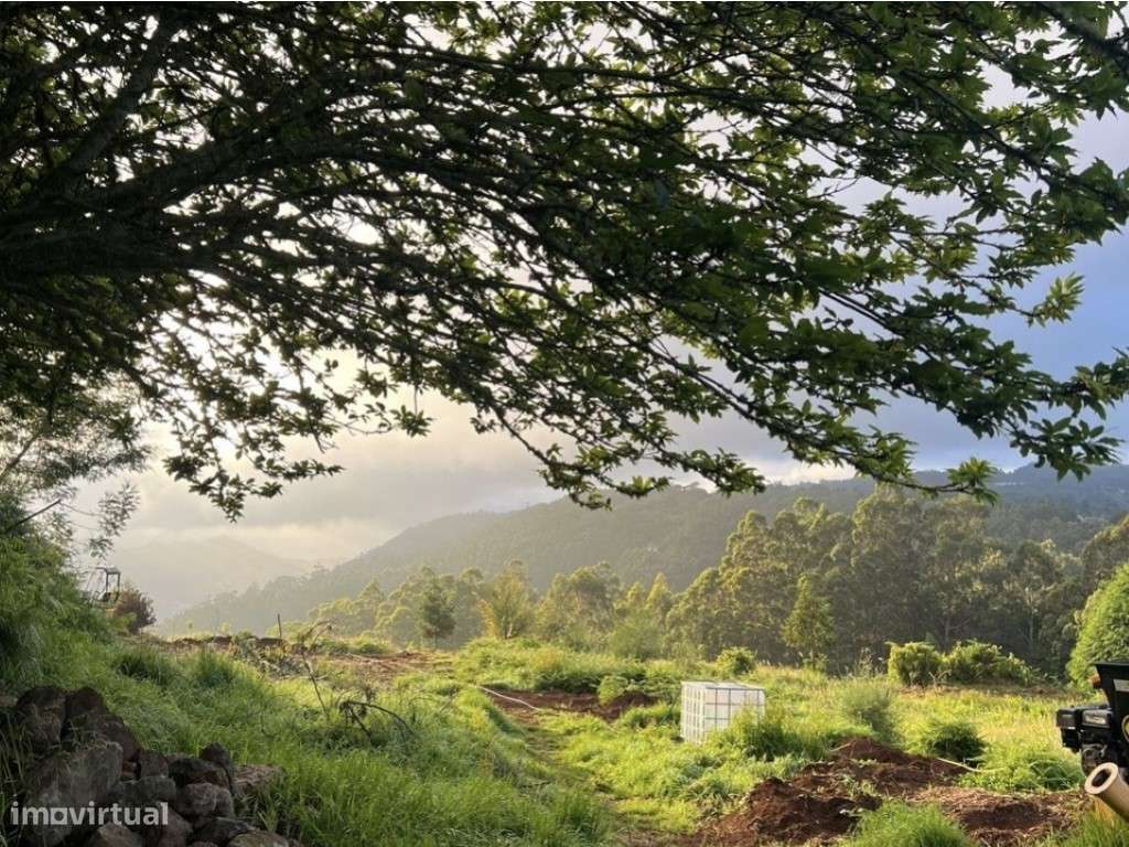 Moradia com terreno de 1.2 ha - Santo da Serra-0