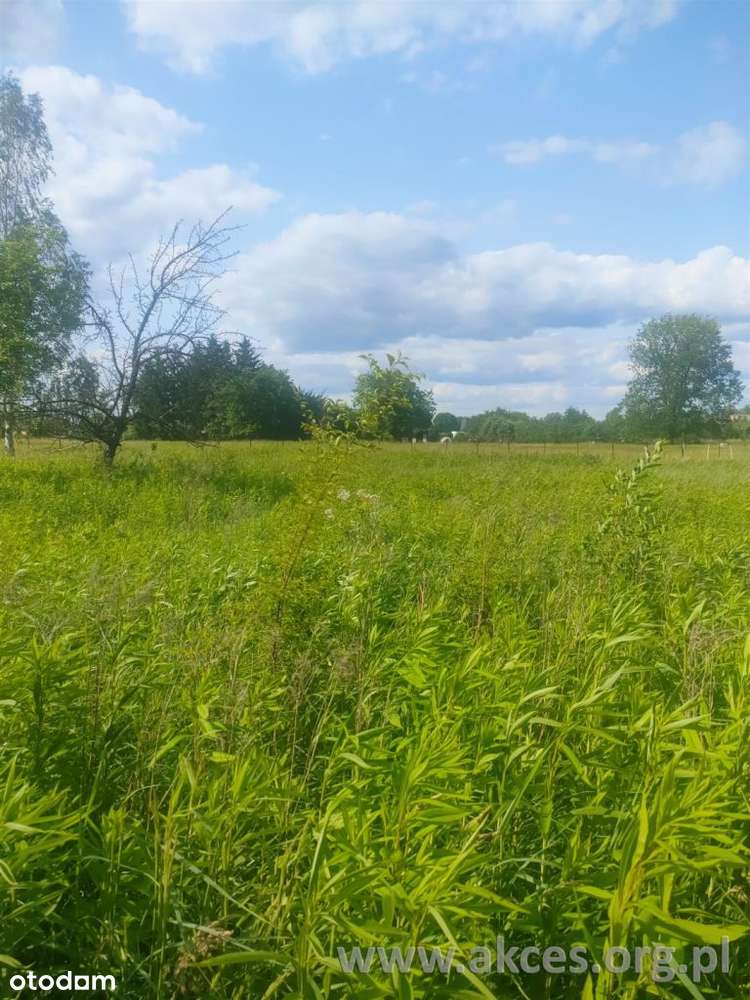 Piaski gm. Konstancin-Jez.dzialka budowlana 1598m2 - Pełny obrazek: 5/6