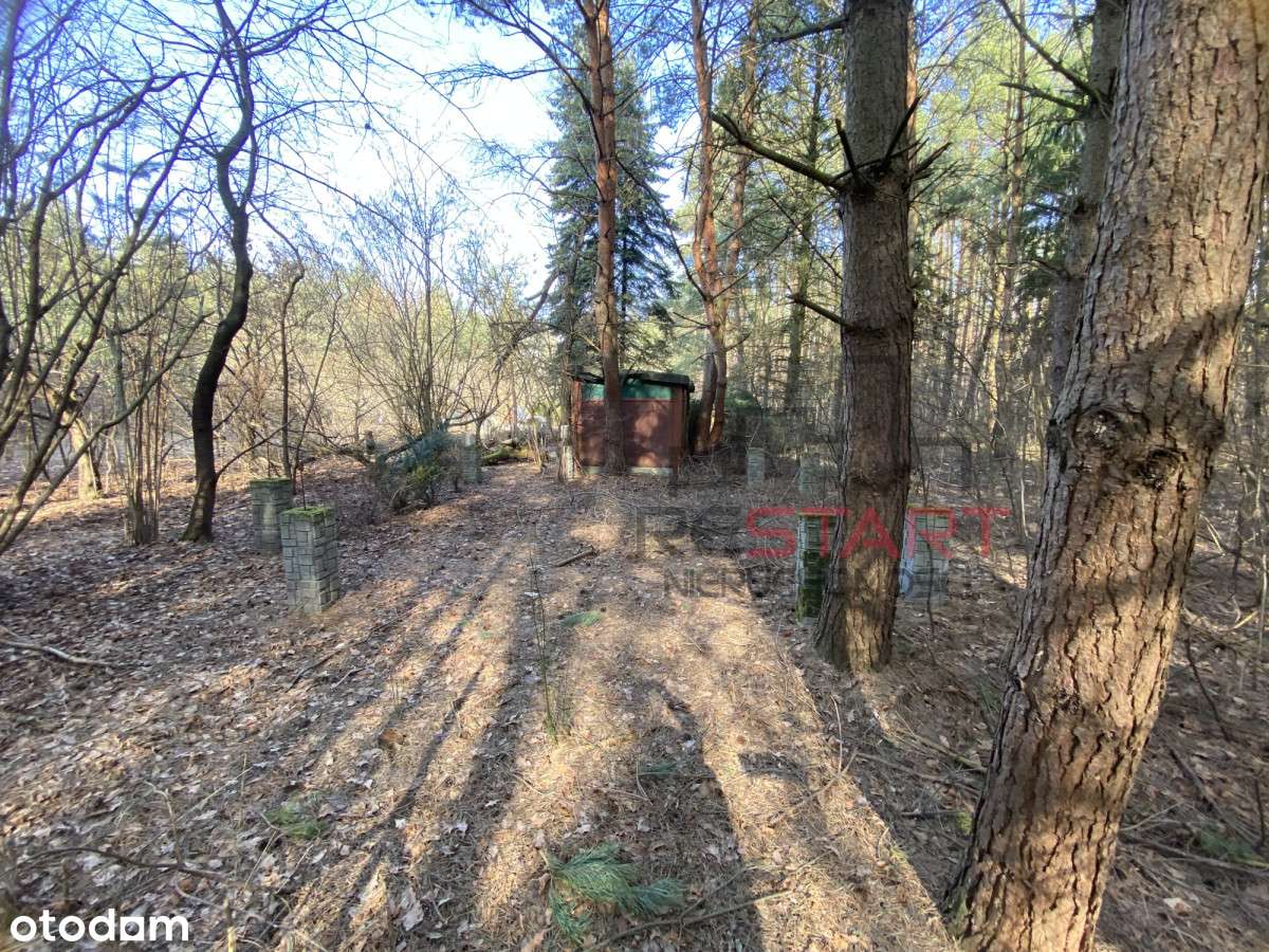 Urokliwa działka w miejscowości Siestrzeń - Pełny obrazek: 5/11