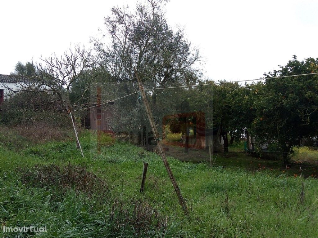 Lote de Terreno