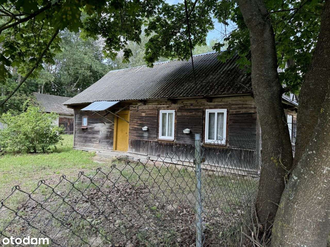 SIedlisko - kolonia Kuraszewo- 3,2946ha - las, rolne! DOM! - Pełny obrazek: 4/20