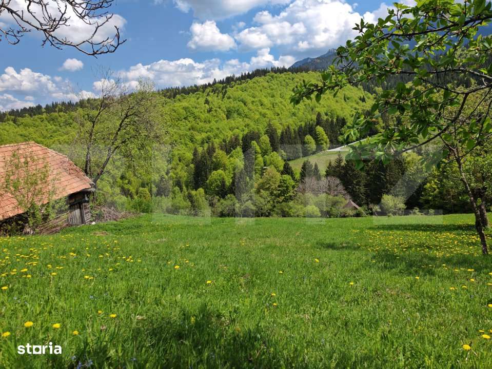 Teren intravilan 3400 mp, in Balaban - Simon, Bran - Brasov - Imagine principală: 2/8