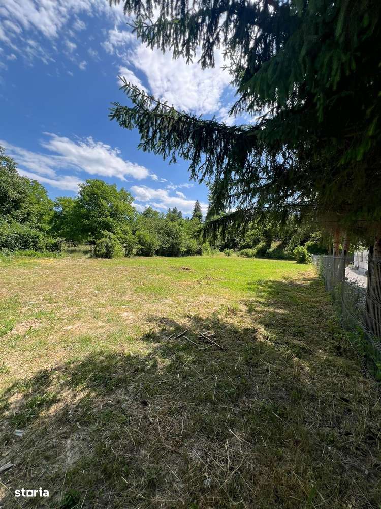 Teren intravilan 1200 mp – Valea Avrigului, Sibiu - Imagine principală: 5/6