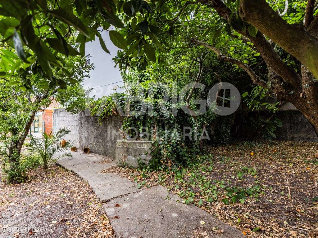 Moradia T3 Central, Oportunidade de Reabilitação (Para venda ao abr...-19