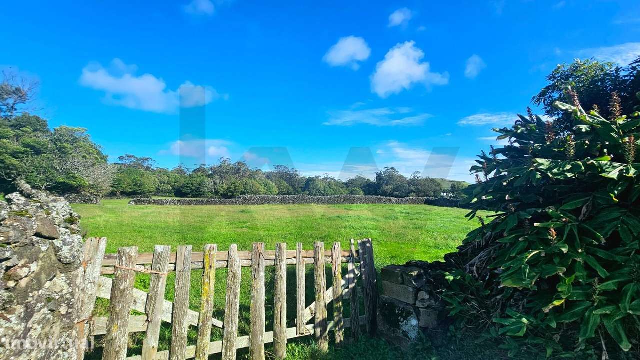 Terreno Rústico com mata - Pico do Alho - Rabo Peixe - Ribeira Grande - Grande imagem: 4/21