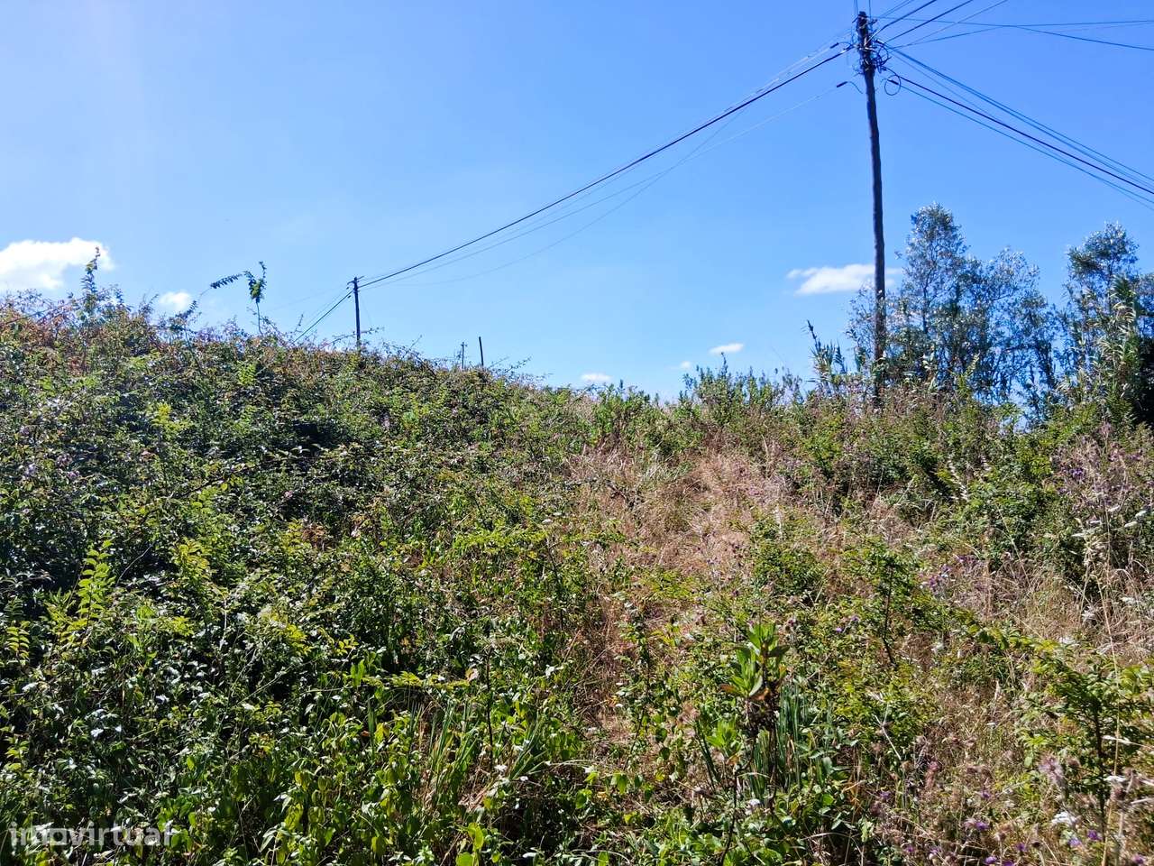 Terreno Rústico Agrícola com 5.017 m² | Casal Novo, Carapinheira-5