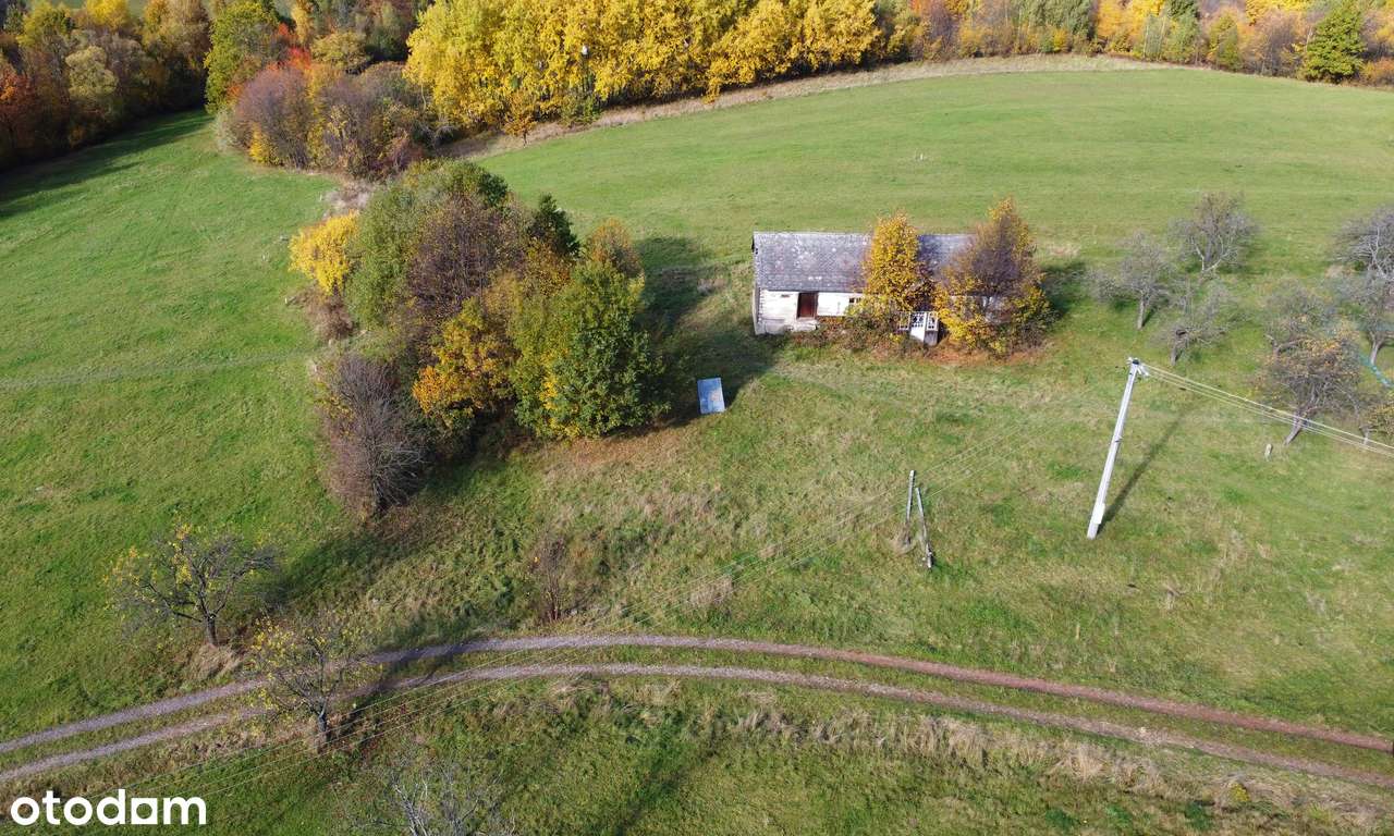 Duża działka z domem | Sadek, gm. Jodłownik - Pełny obrazek: 5/9
