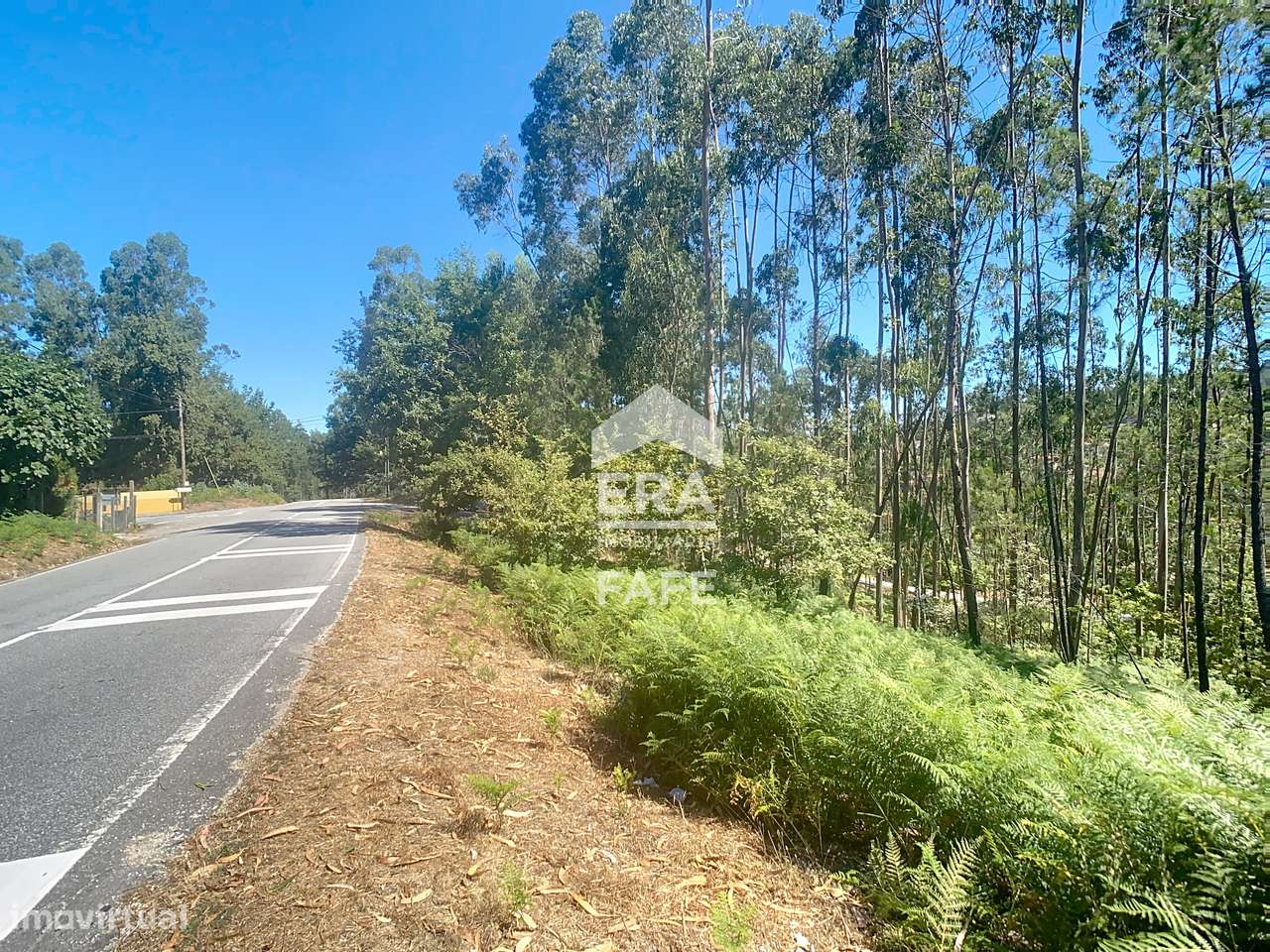 Terreno com 1.400m2 em Ardegão, Fafe - Grande imagem: 3/6