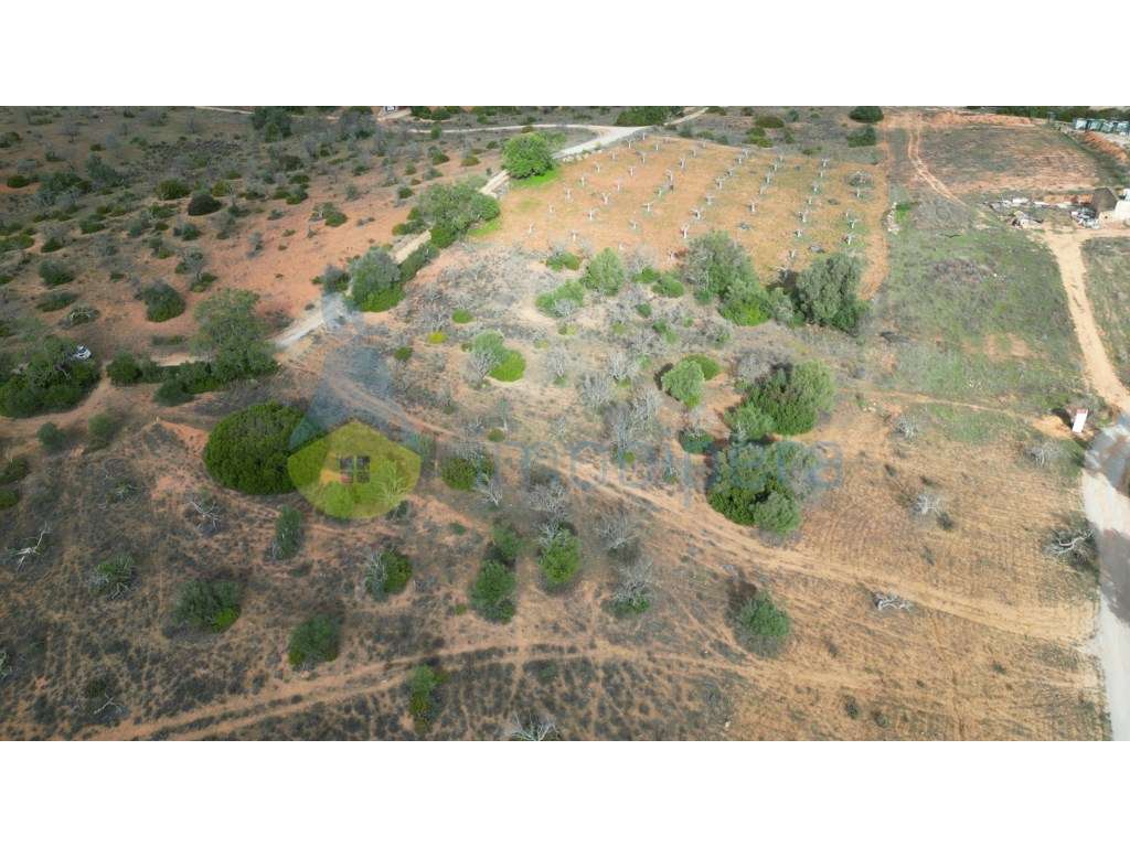 Terreno Rústico com 3730m2 em Guia, Albufeira - Grande imagem: 3/12