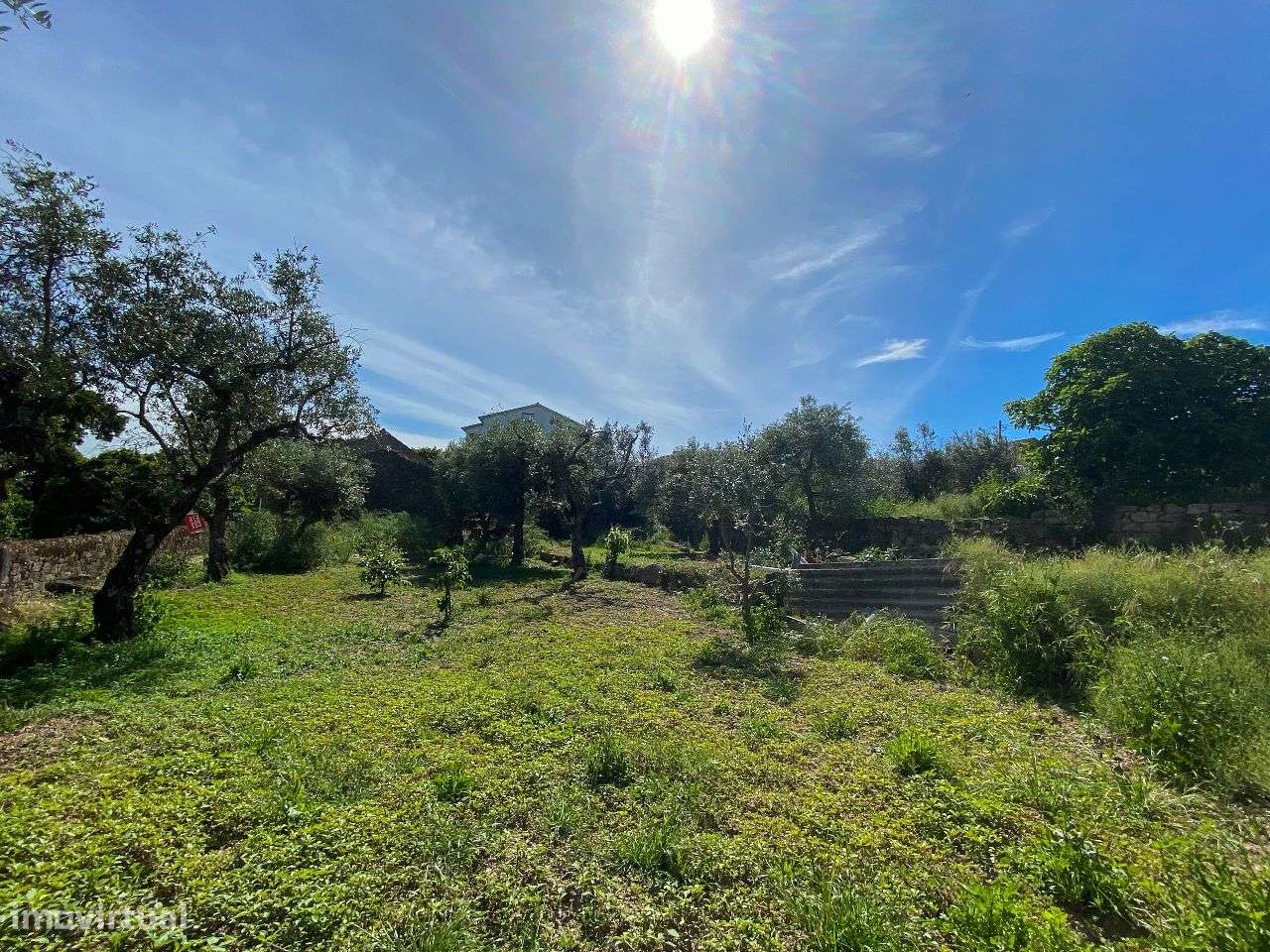 Terreno - Grande imagem: 5/7