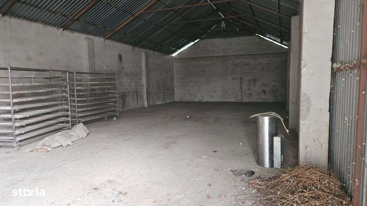 Gelu [Varias] – Imobil Afacere Brutarie – Hala – Teren - Imagine principală: 4/13
