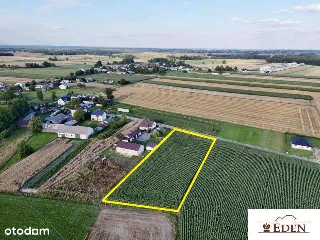 Na sprzedaż działka budowlana o pow. 3872 m - Daćbogi, gm. Wiśniew. - Pełny obrazek: 3/6