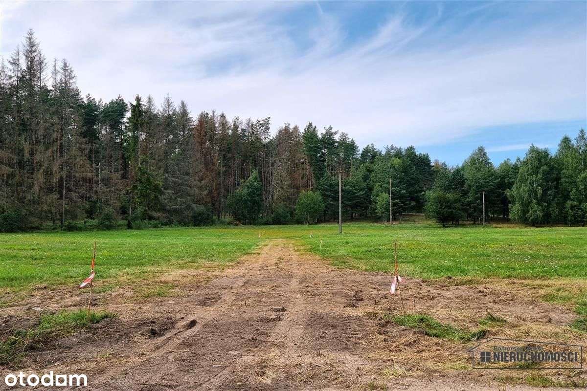 Działki budowlane położone pod lasem. - Pełny obrazek: 4/20