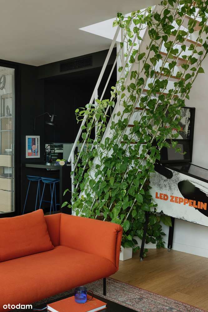 PENTHOUSE nad Odrą Młyn Maria-6