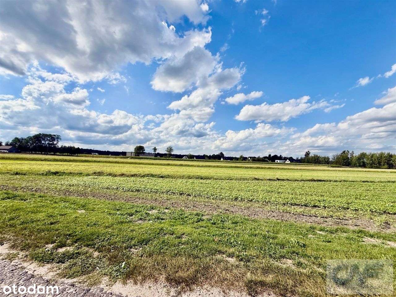 Świerczyniec, Działka pod 11 domów - Pełny obrazek: 5/8