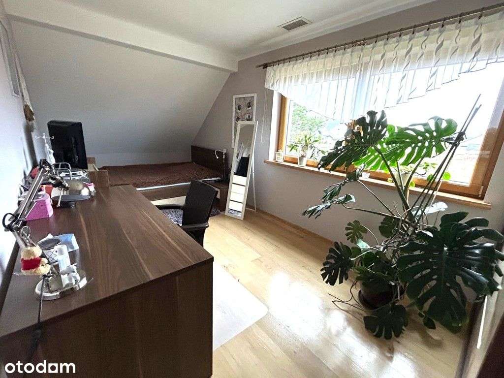 Obrzeża Goleniowa, blisko Puszcza Goleniowska-11