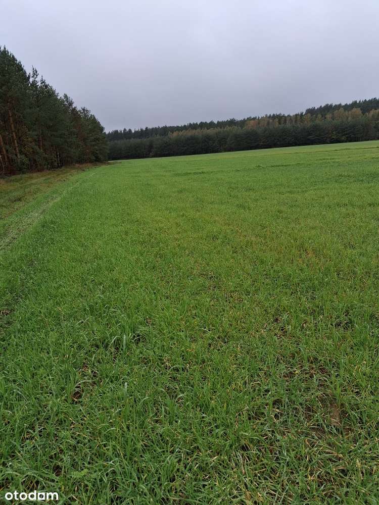 Działki budowlane marzeń — Twój dom blisko natury! - Pełny obrazek: 5/10