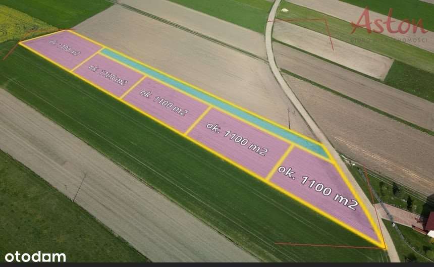 Duża ładna działka, Miedzyrzecze k/ Woli - Pełny obrazek: 2/6