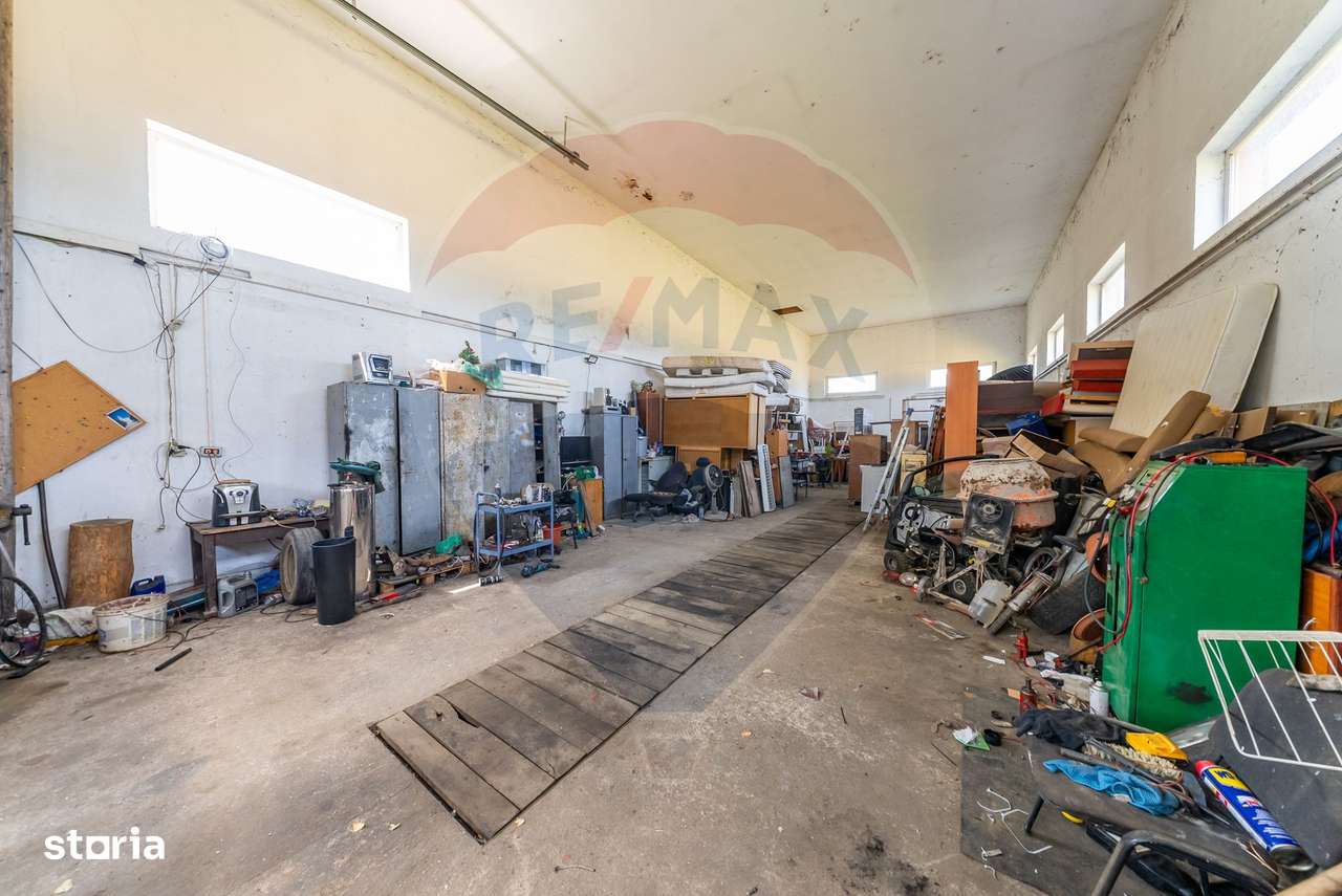 Spațiu industrial cu potential de vanzare in Paulis,Arad-7