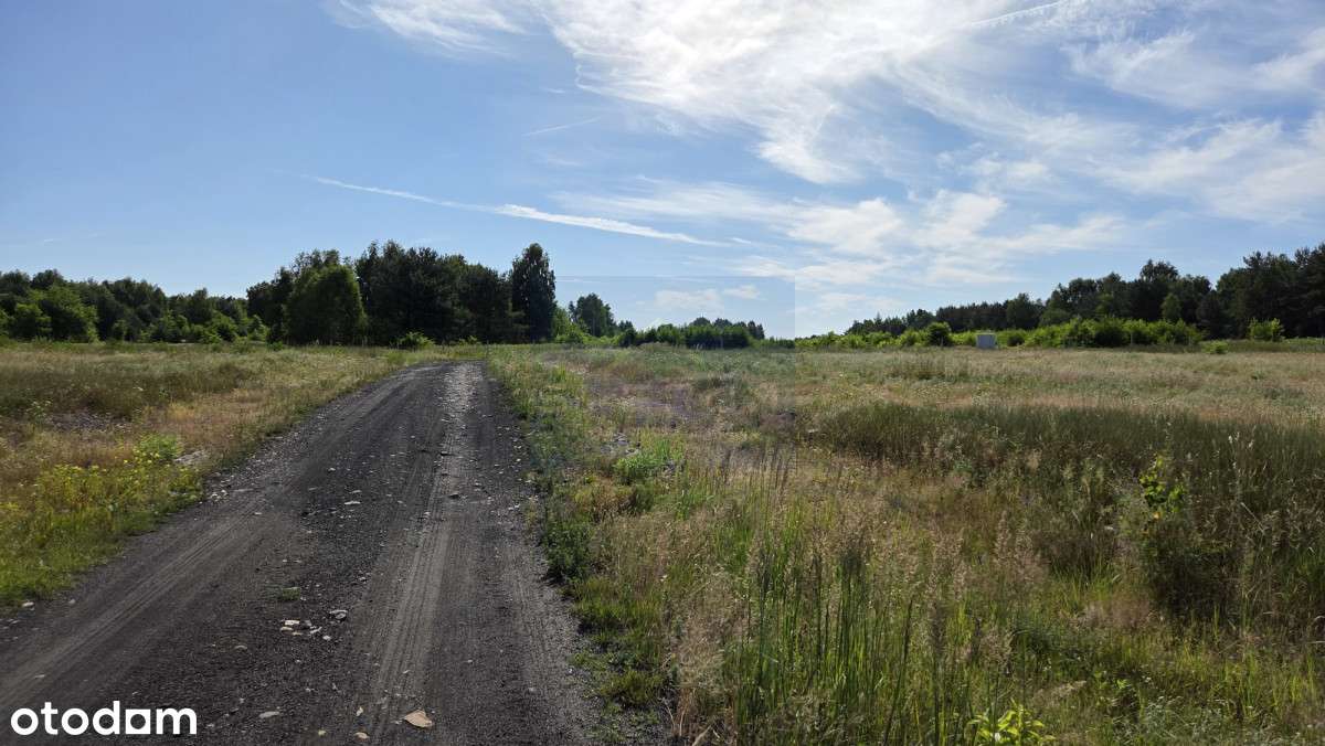 Działka na sprzedaż, Grabówka - Pełny obrazek: 3/6