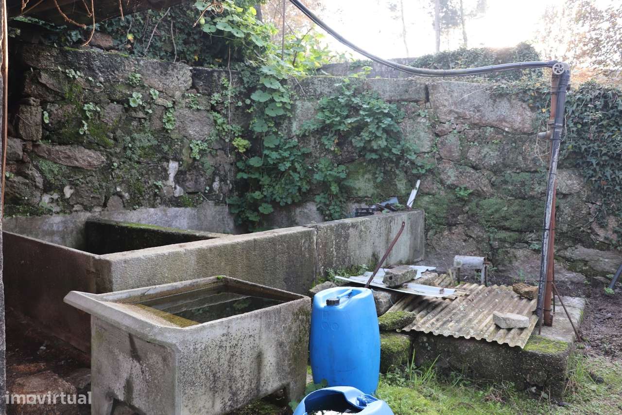 Moradia Isolada T3+3 Venda em Campo (São Martinho), São Salvador do Ca-14