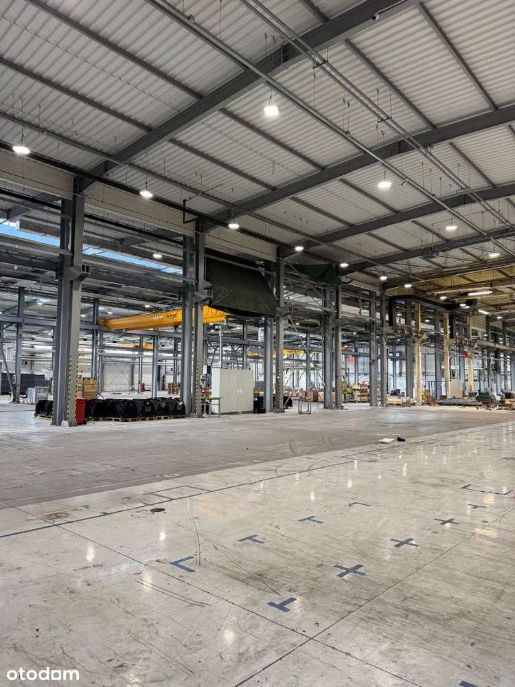 Obiekt produkcyjno - magazynowy || Alek.Łódzki - Pełny obrazek: 4/8