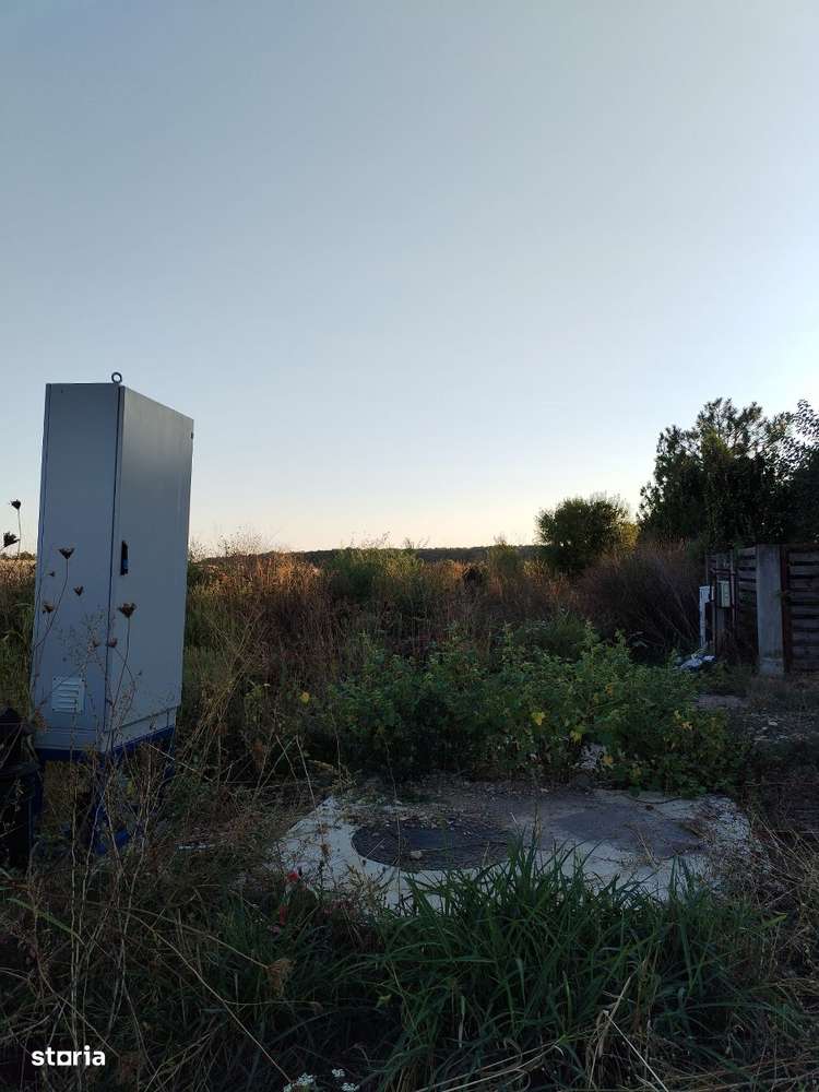 Ciolpani, spre Izvorani - COR, vanzare teren 5000mp. - Imagine principală: 3/14