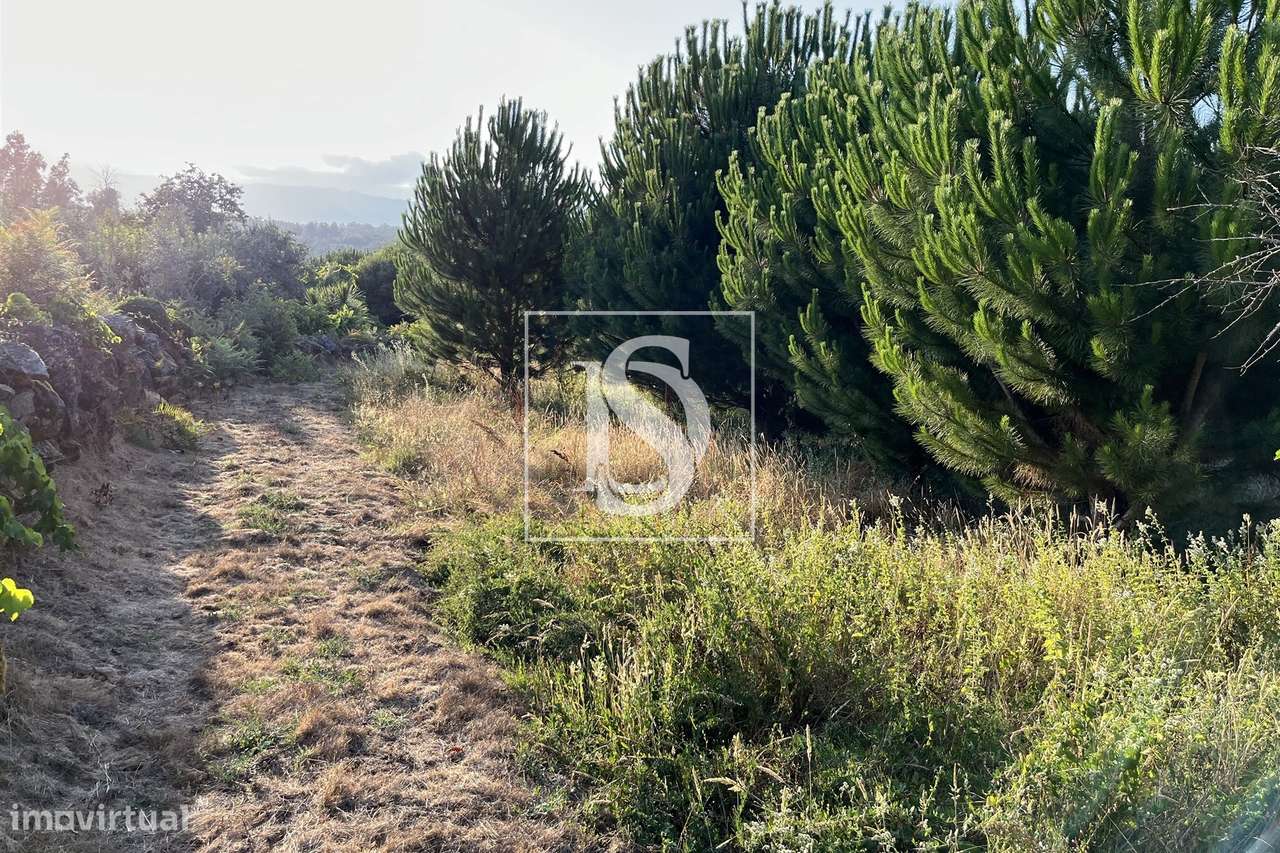 Terreno  Venda em Canas de Santa Maria,Tondela-5