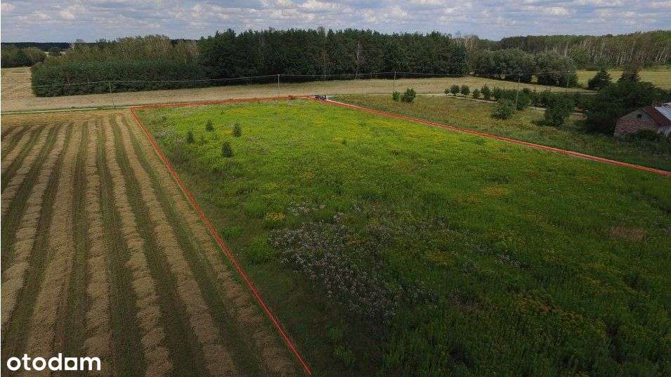 działki w okolicy Pomiechówka - View 5