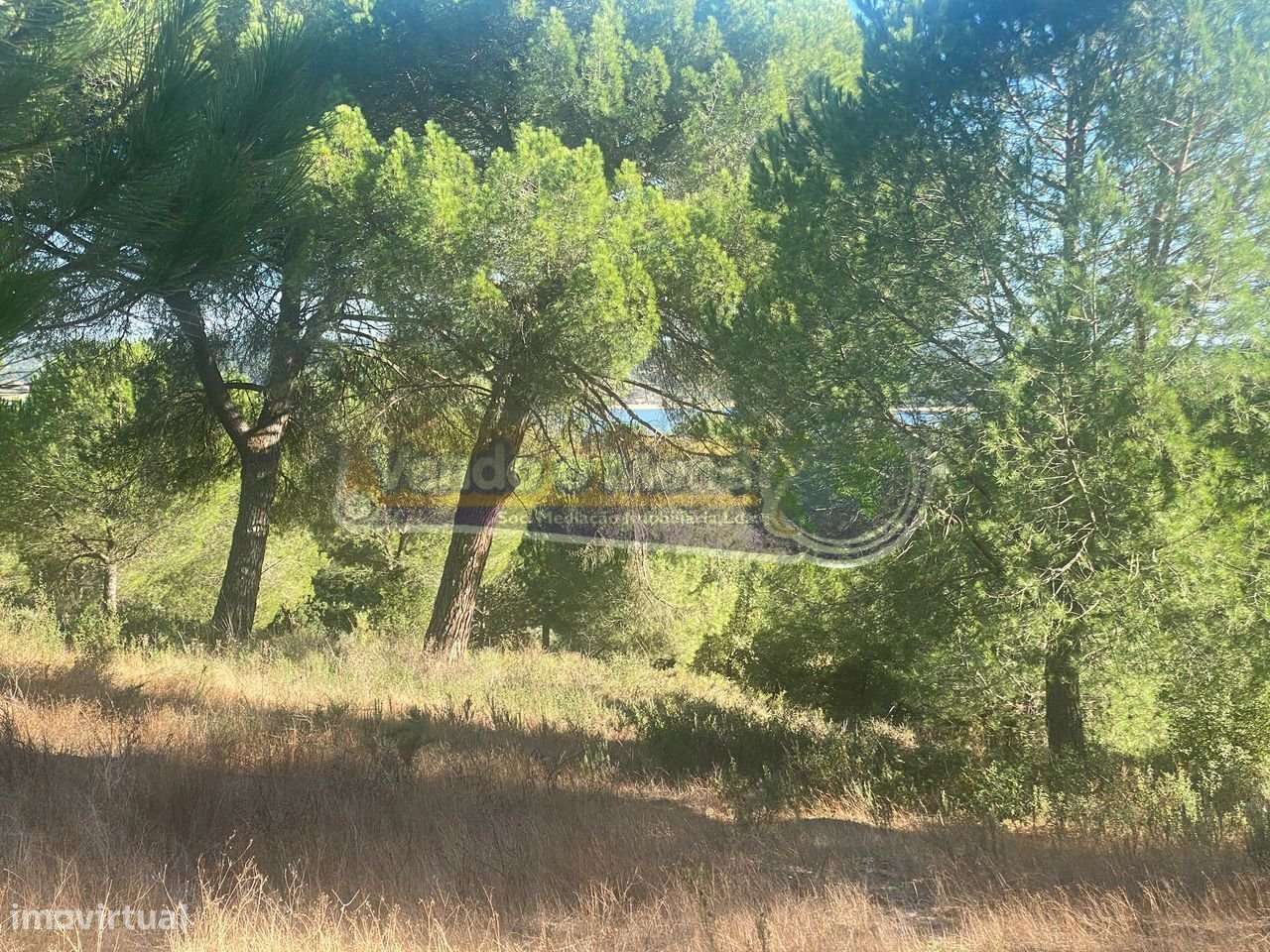 Terreno em Montargil (MTG002)-7