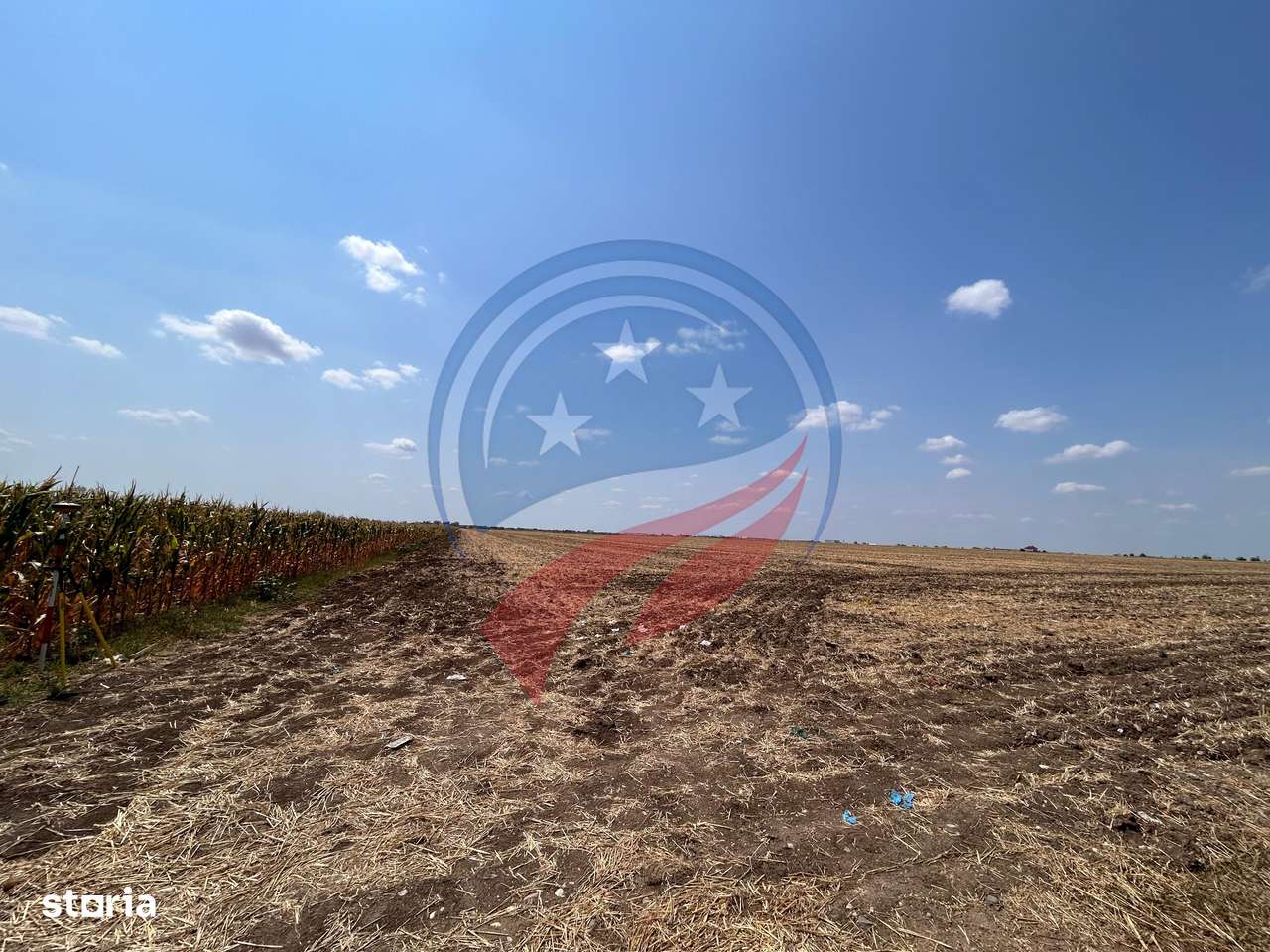 Teren intravilan de vanzare in Pielesti - Imagine principală: 4/10