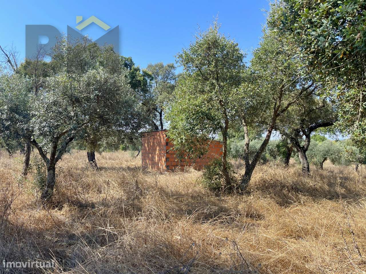 Terreno Rústico  Venda em Toulões,Idanha-a-Nova - Grande imagem: 4/18