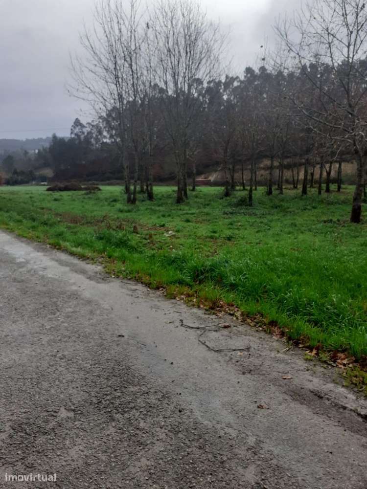 Oportunidade de Negócio | Terreno para Agricultura - Grande imagem: 5/13