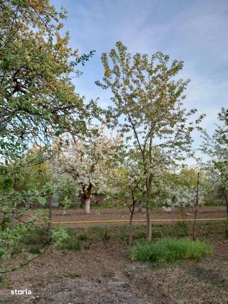 Casa cu etaj si pamant - Imagine principală: 5/8