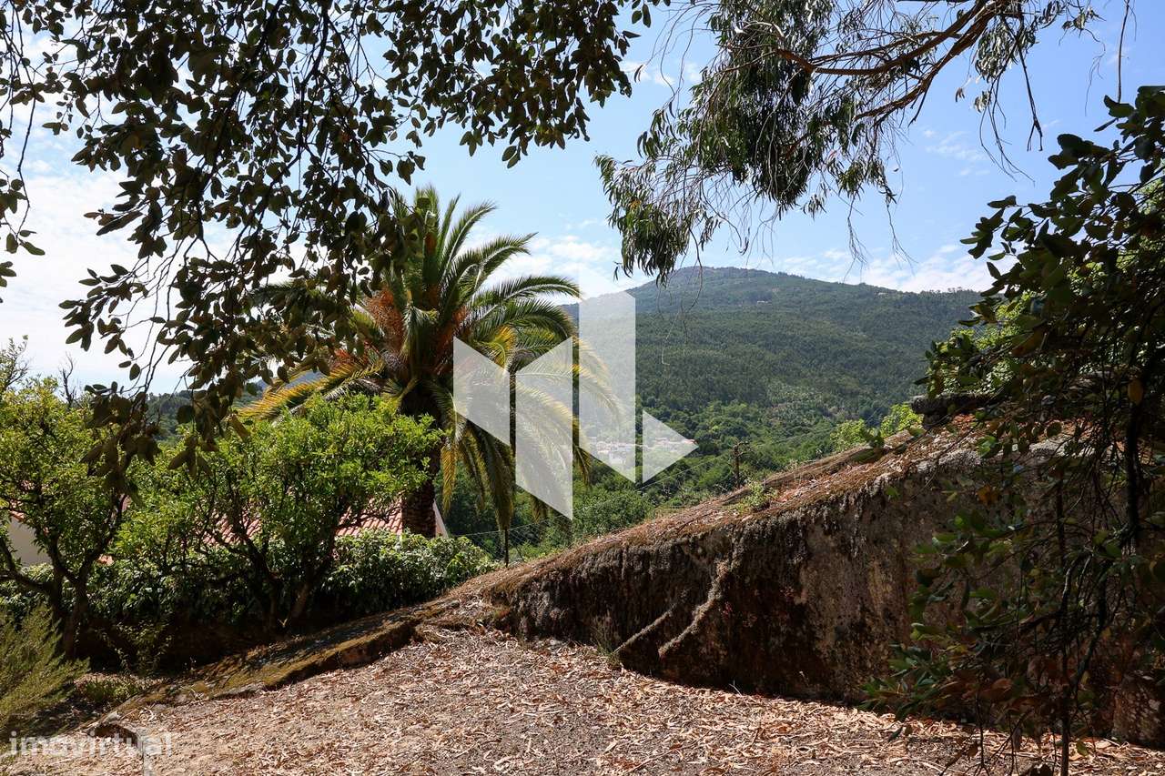Quinta T6+3 Venda em Castelões,Tondela-44